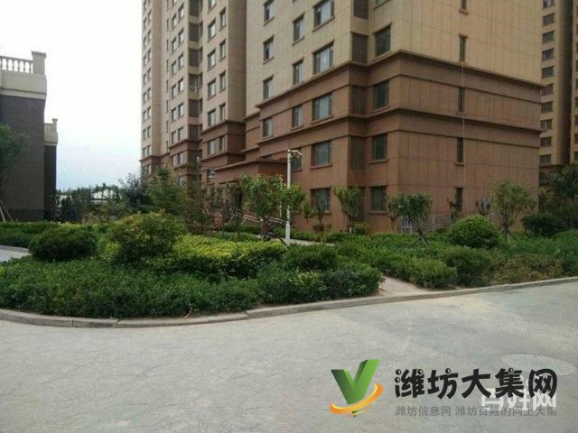低首付 區(qū)政府近 凡爾賽麗都 客廳朝陽 新房未住