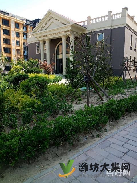 特價房！首付僅需10萬 濰城區(qū)政府旁電梯洋房134