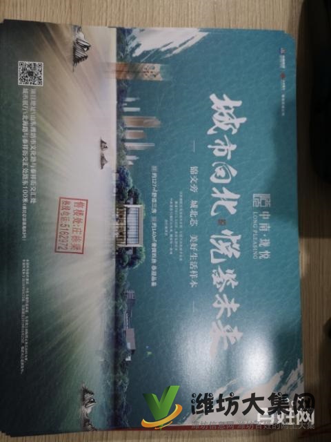錦文學校一路之隔中南瓏悅高端樓盤火爆預約品鑒頂